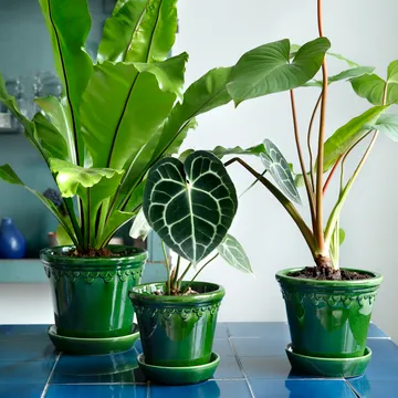 Pot de fleurs émaillé Köpenhamn - Vert, Ø18 cm - Bergs Potter