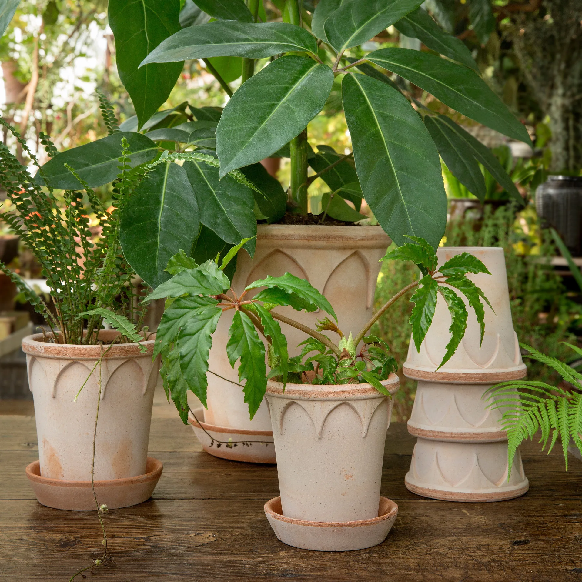 Pot Elizabeth Ø12 cm, Rose Bergs Potter