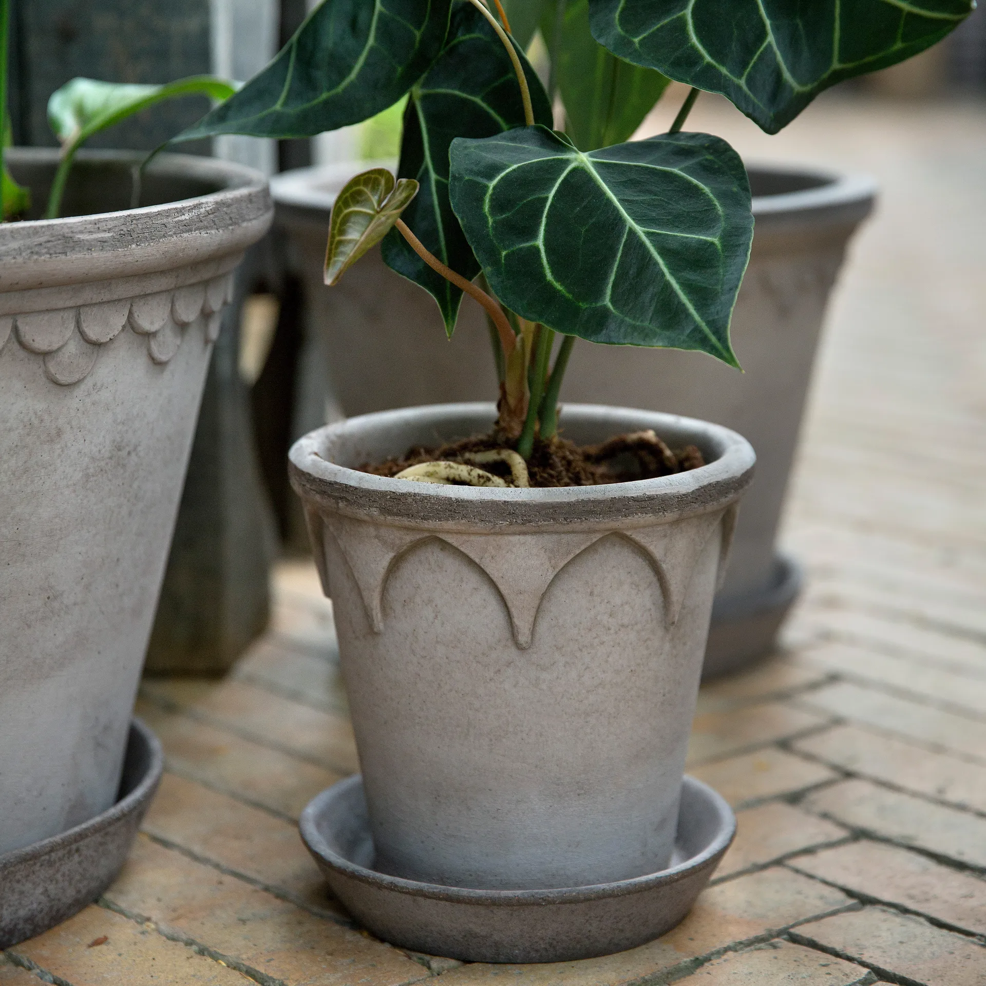 Pot Elizabeth Ø16 cm, Grey Bergs Potter