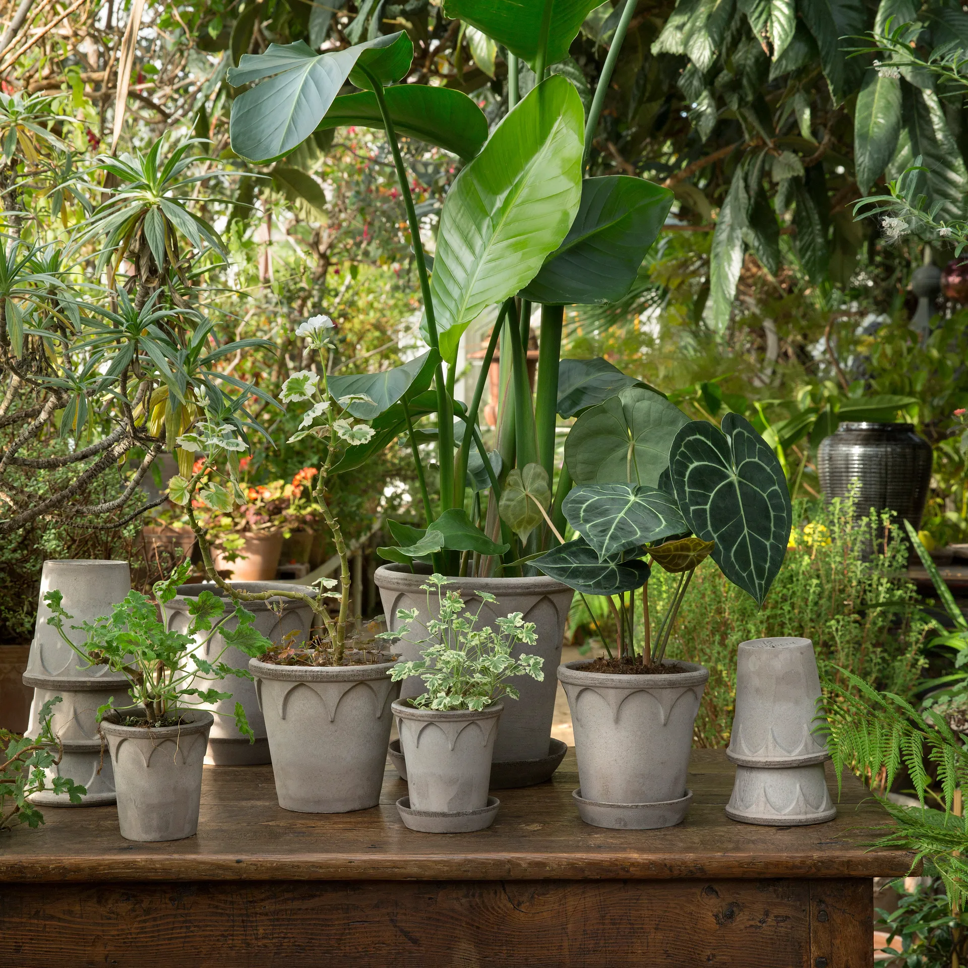 Pot Elizabeth Ø16 cm, Grey Bergs Potter