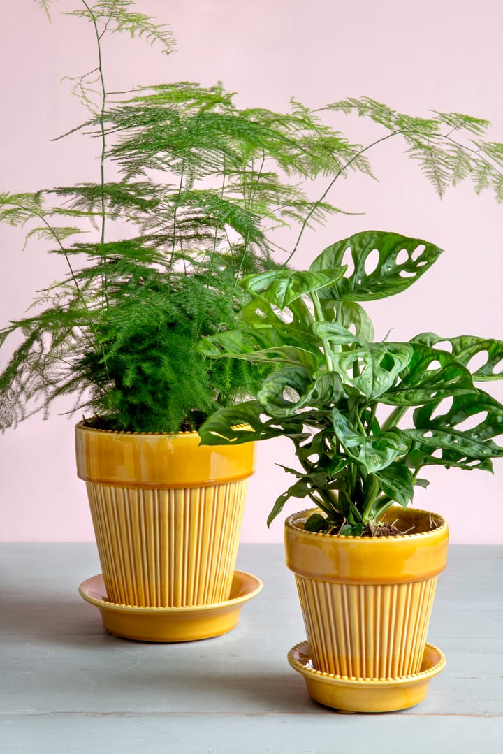 Pot émaillé Simona Ø12 cm, Jaune Bergs Potter