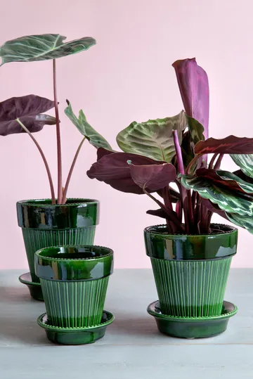 Pot émaillé Simona Ø18 cm - Vert - Bergs Potter