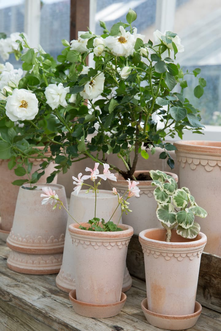 Pot haut Copenhagen Ø10 cm, Rose Bergs Potter