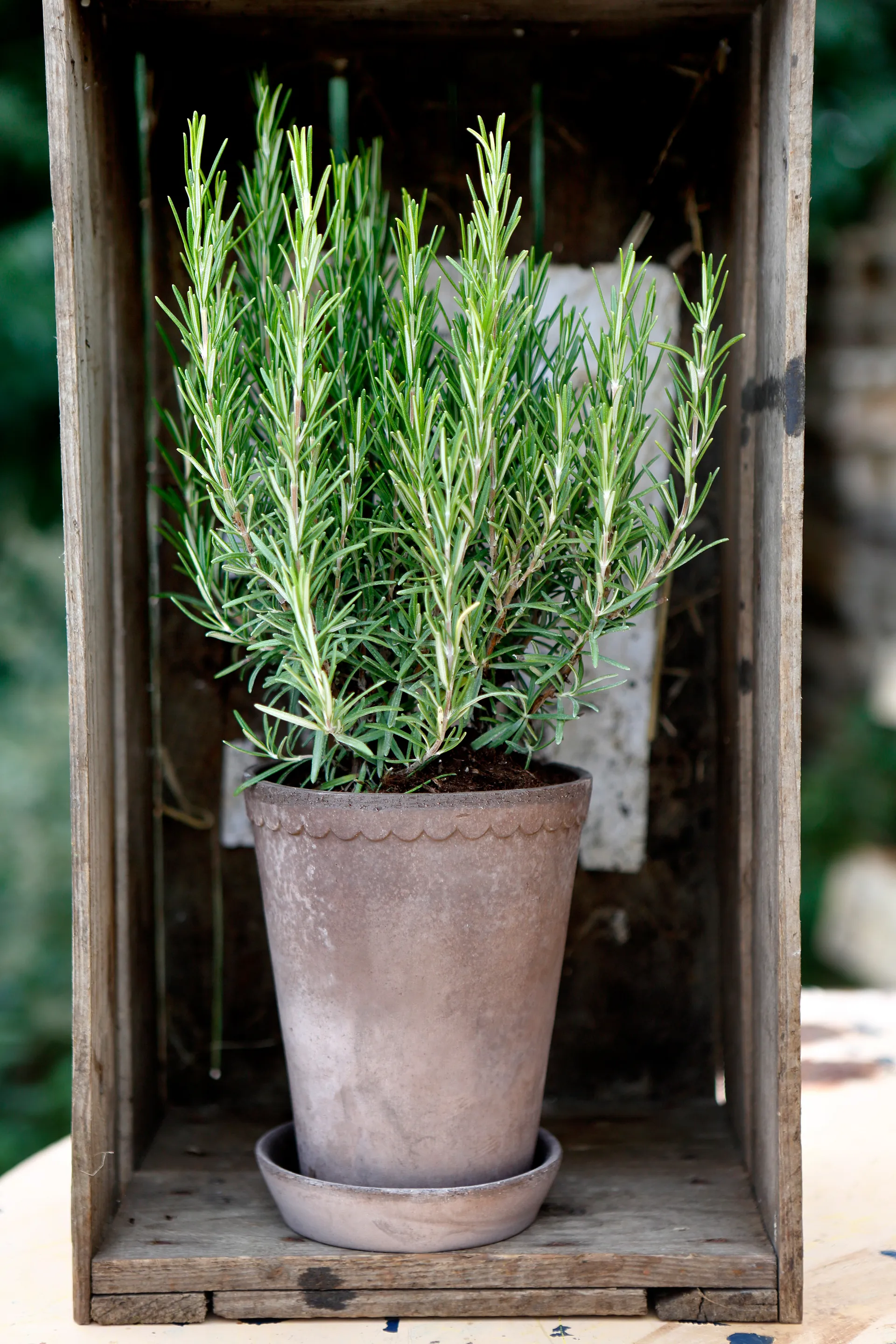 Pot haut Helena Ø14 cm, Gris Bergs Potter