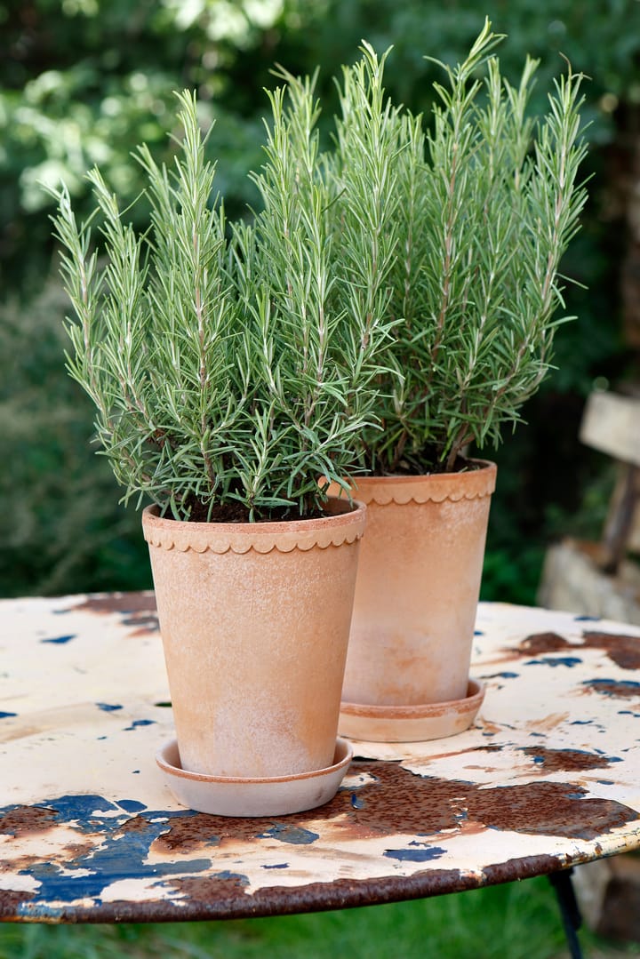 Pot haut Helena Ø14 cm, Rose Bergs Potter