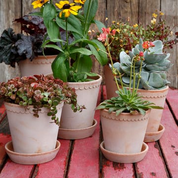 Pot Helena Ø10 cm - Rose - Bergs Potter