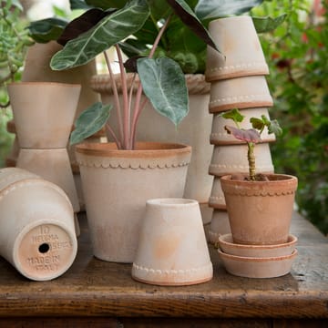 Pot Helena Ø10 cm - Rose - Bergs Potter