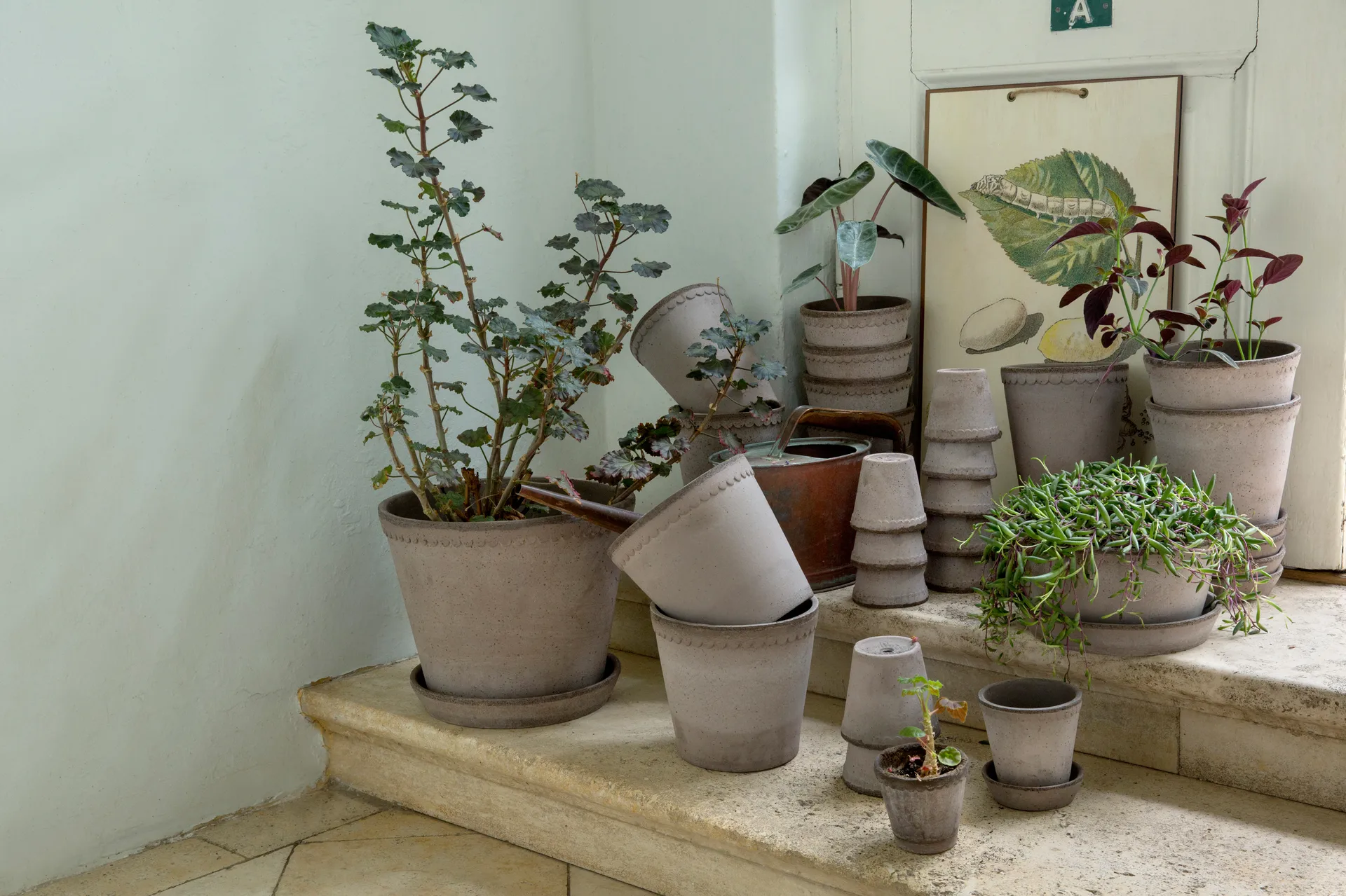 Pot Helena Ø12 cm, Gris Bergs Potter