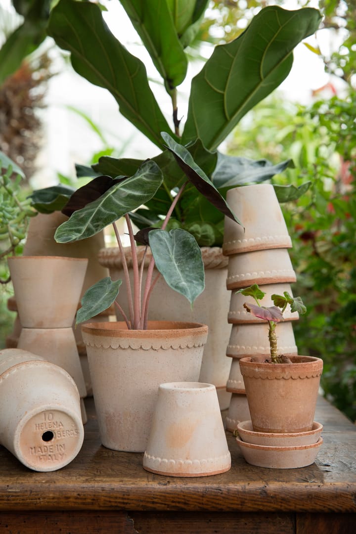Pot Helena Ø12 cm, Rose Bergs Potter