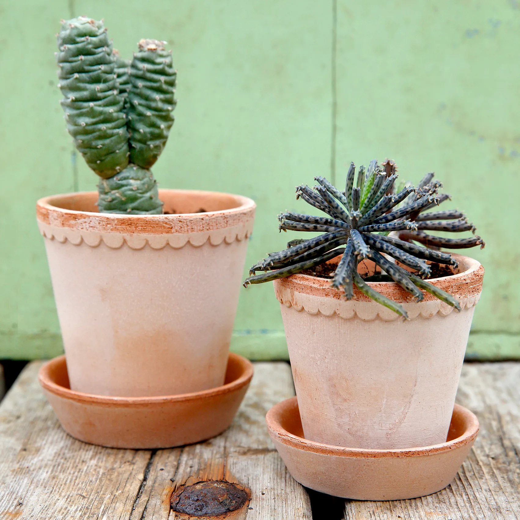 Pot Helena Ø14 cm, Rose Bergs Potter