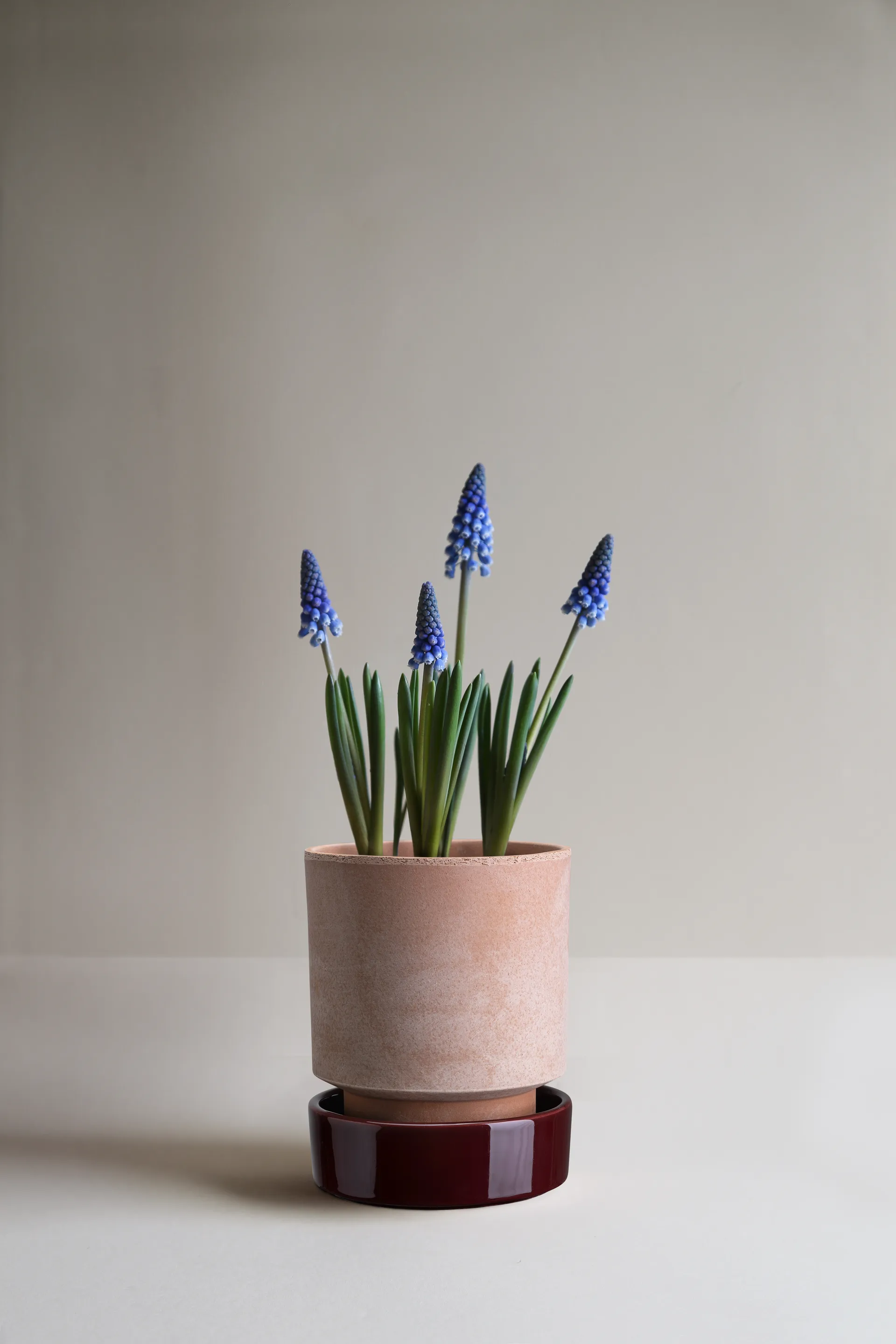 Pot Hoff, Ø14 cm, Raw Rosa-Deep Burgundy Bergs Potter