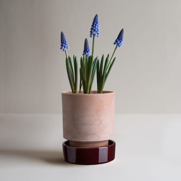 Pot Hoff - Ø16 cm, Raw Rosa-Deep Burgundy - Bergs Potter