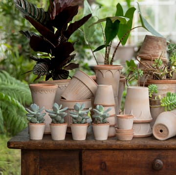 Pot Københavner Ø10 cm - Rose - Bergs Potter