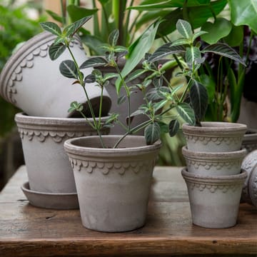Pot Københavner Ø14 cm - Gris - Bergs Potter