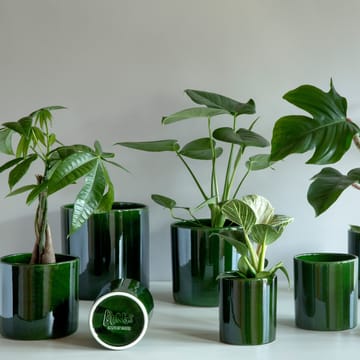 Pot Romeo vitré Ø19 cm - Vert - Bergs Potter