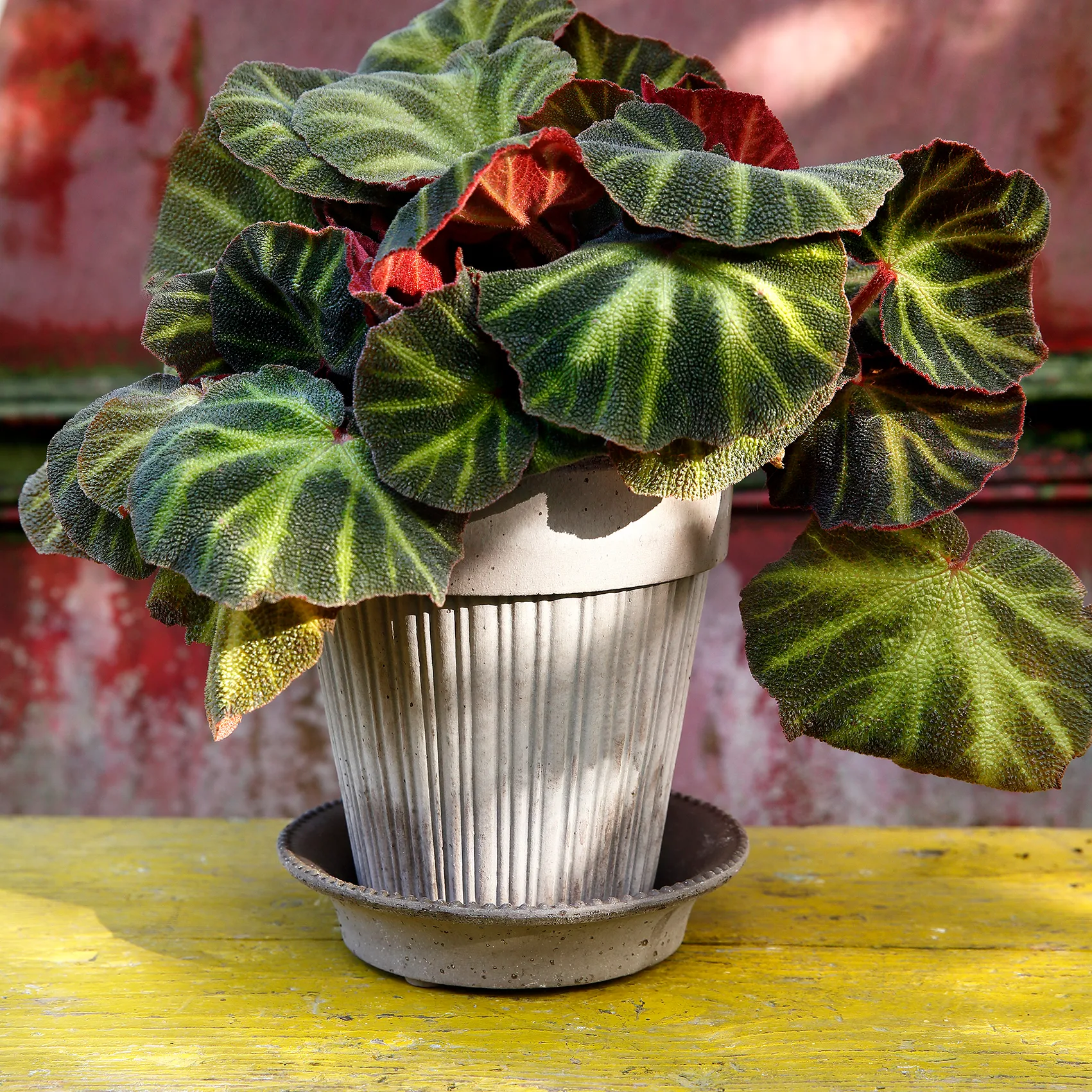 Pot Simona Ø18 cm, Gris Bergs Potter