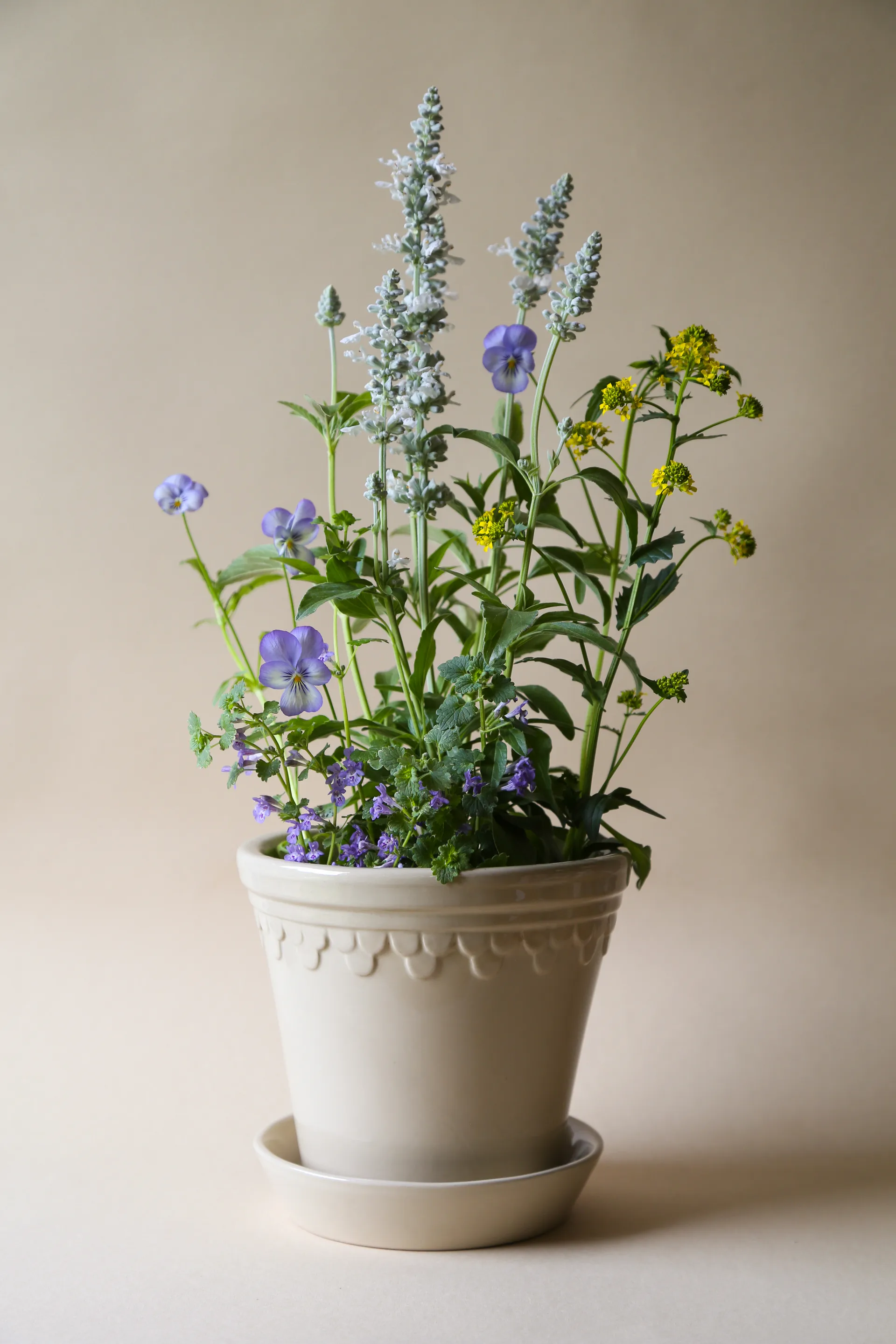 Pot vitré Københavner, Sand Stone, Ø25 cm Bergs Potter