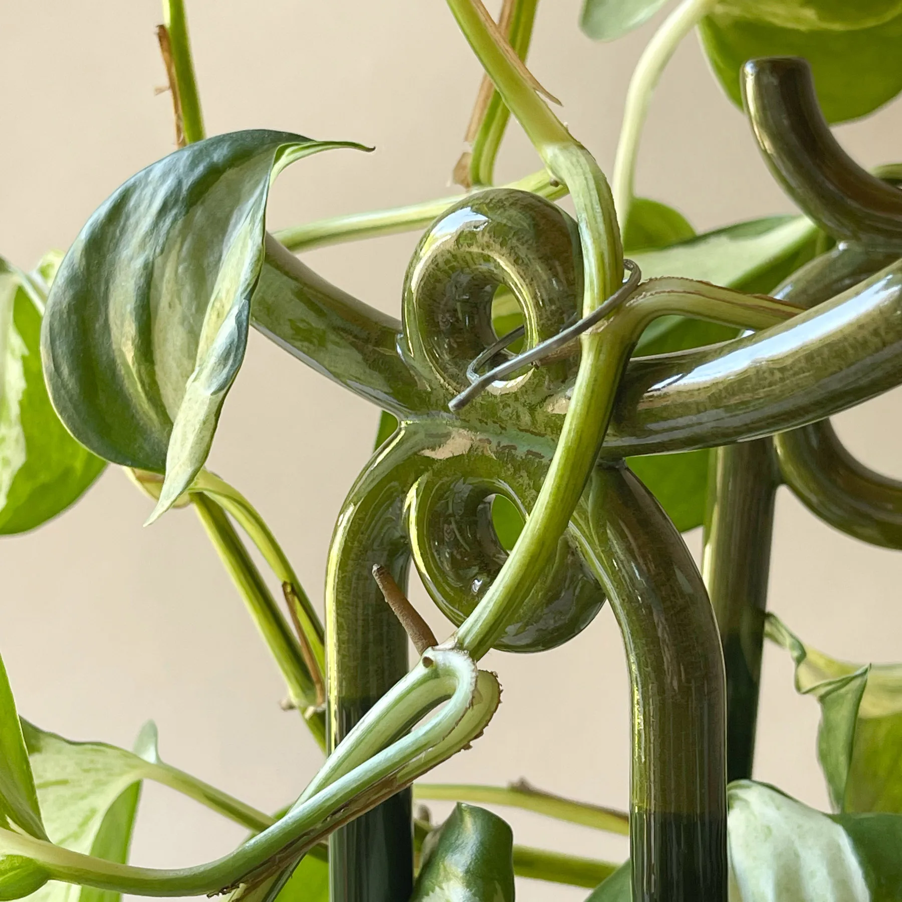 Support de plante Folk Yuma, Moss green Bergs Potter