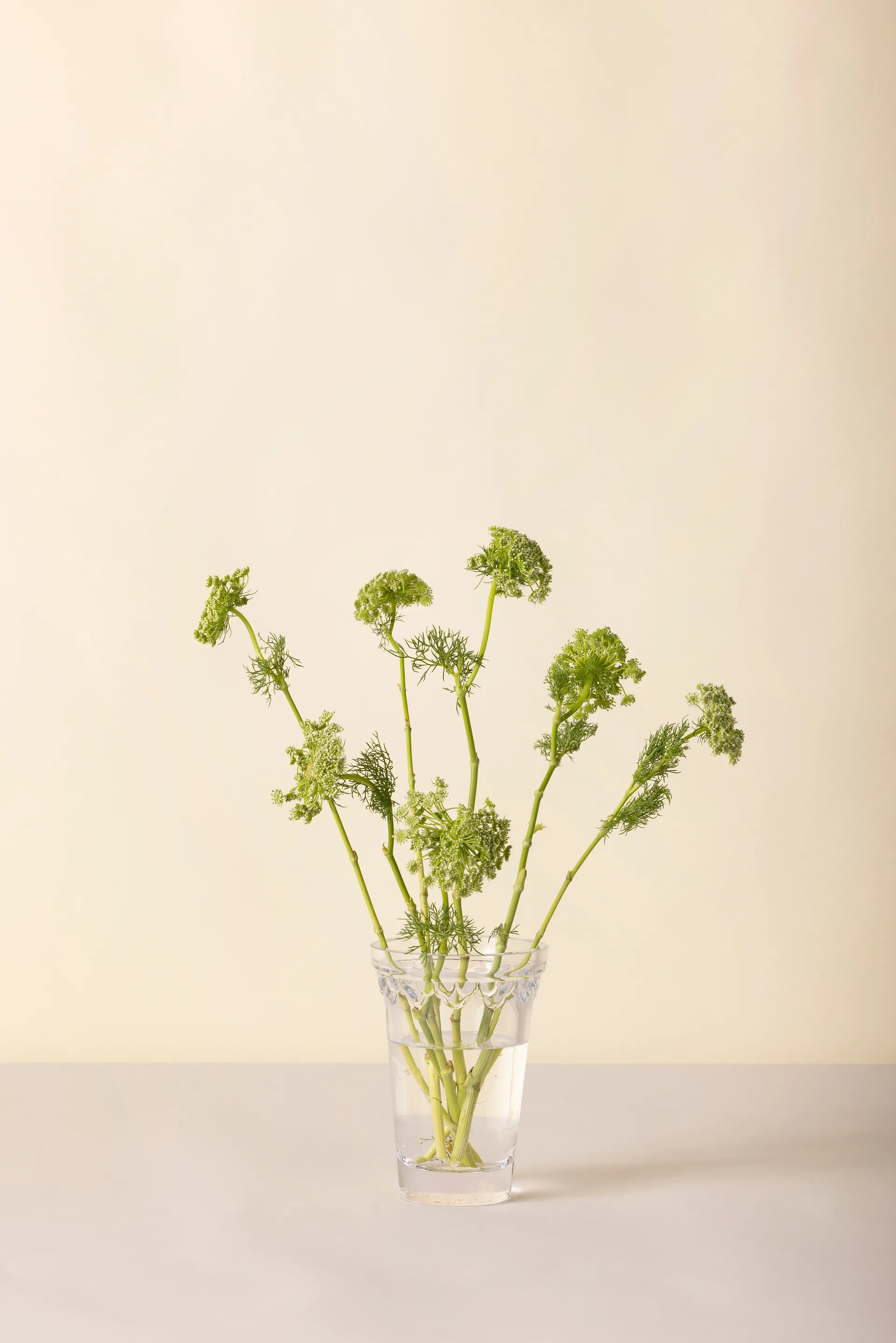 Vase Köpenhamn, Transparent, 18,5 cm Bergs Potter