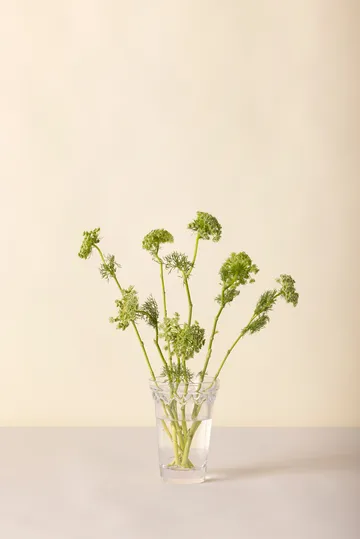 Vase Köpenhamn - Transparent, 18,5 cm - Bergs Potter