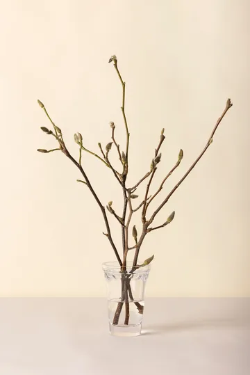 Vase Köpenhamn - Transparent, 18,5 cm - Bergs Potter