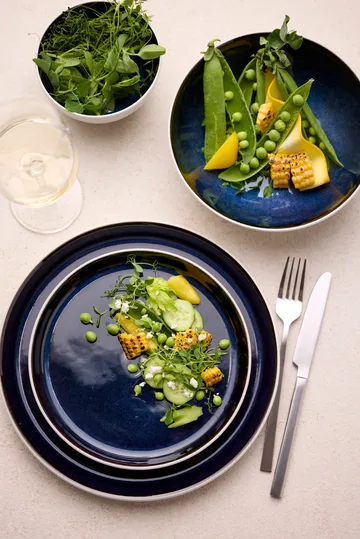 Bol Bitz Gastro Ø12 cm - Blanc-bleu foncé - Bitz