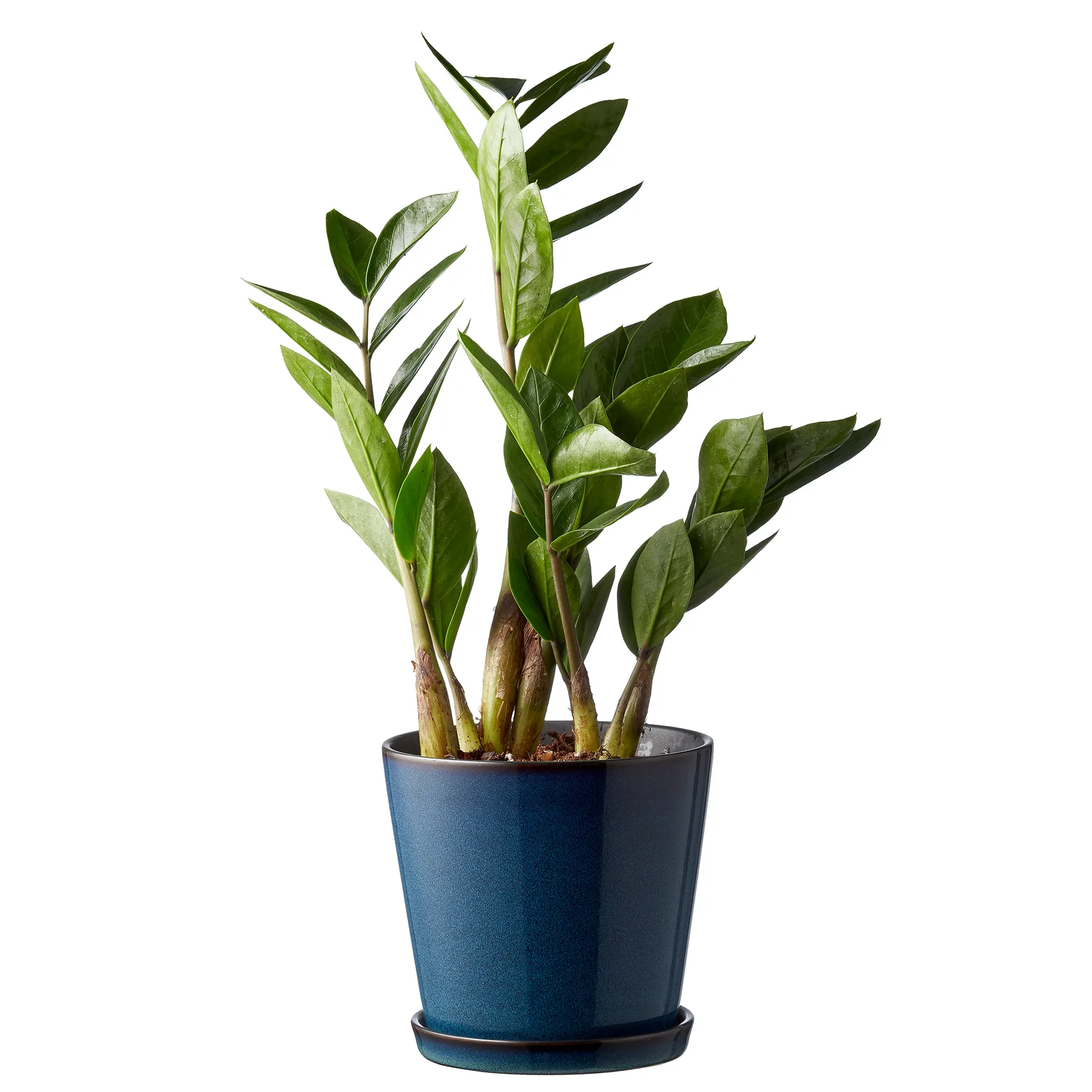 Pot avec soucoupe Bitz Ø14 cm, Bleu foncé-noir Bitz