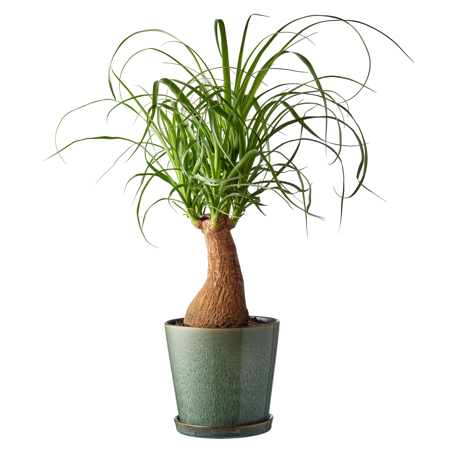 Pot avec soucoupe Bitz Ø14 cm, Vert-noir Bitz