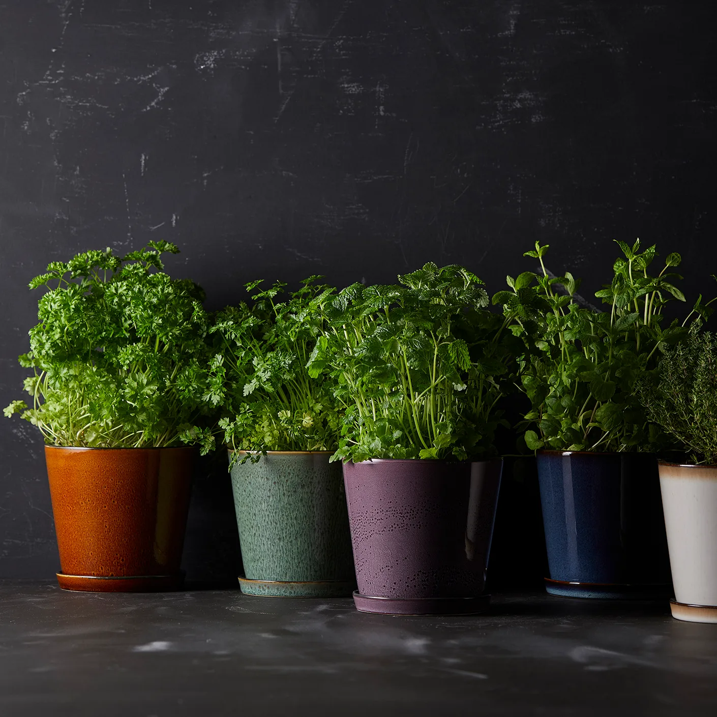 Pot avec soucoupe Bitz Ø14 cm, Vert-noir Bitz