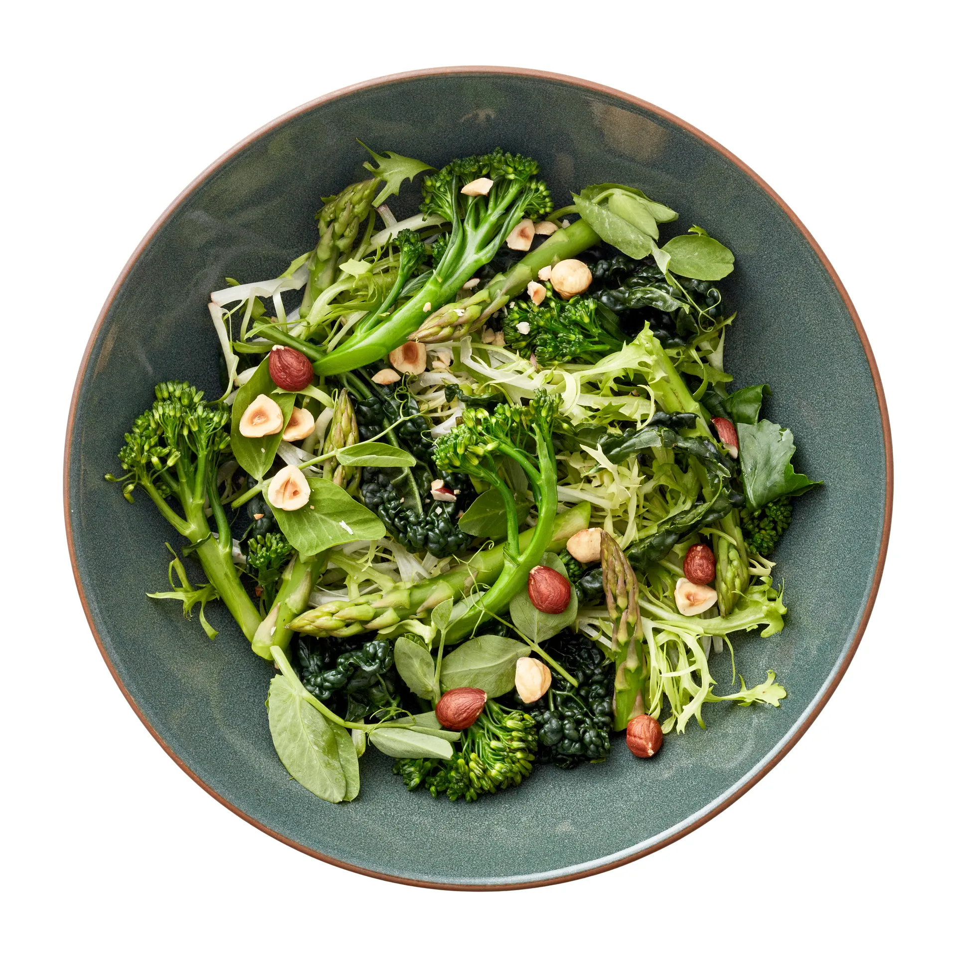 Saladier Bitz Wood Ø24 cm, Bois-forêt Bitz