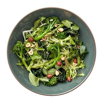 Saladier Bitz Wood Ø24 cm - Bois-forêt - Bitz