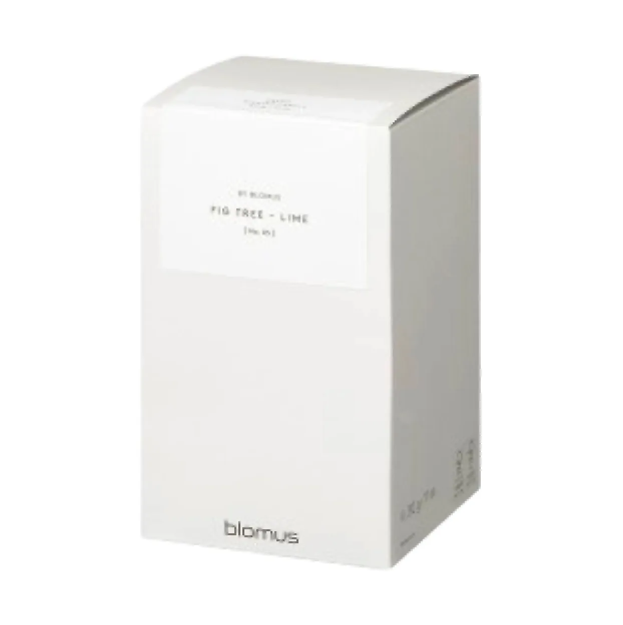 Bougie parfumée Valoa 45 heures, Fikon/Lime Agave Green blomus