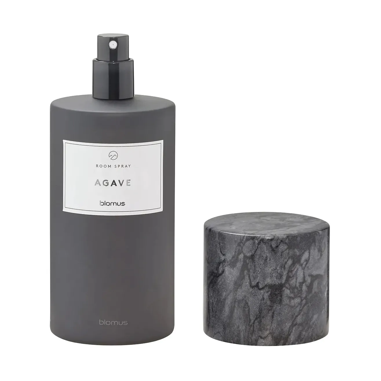 Spray d’intérieur Frabli 100 ml, Agave Magnet blomus