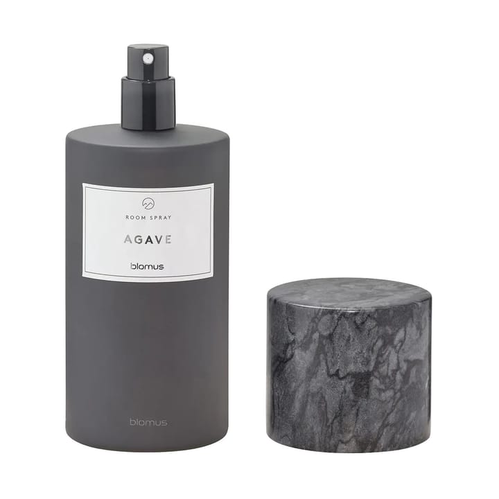 Spray d’intérieur Frabli 100 ml, Agave Magnet Blomus