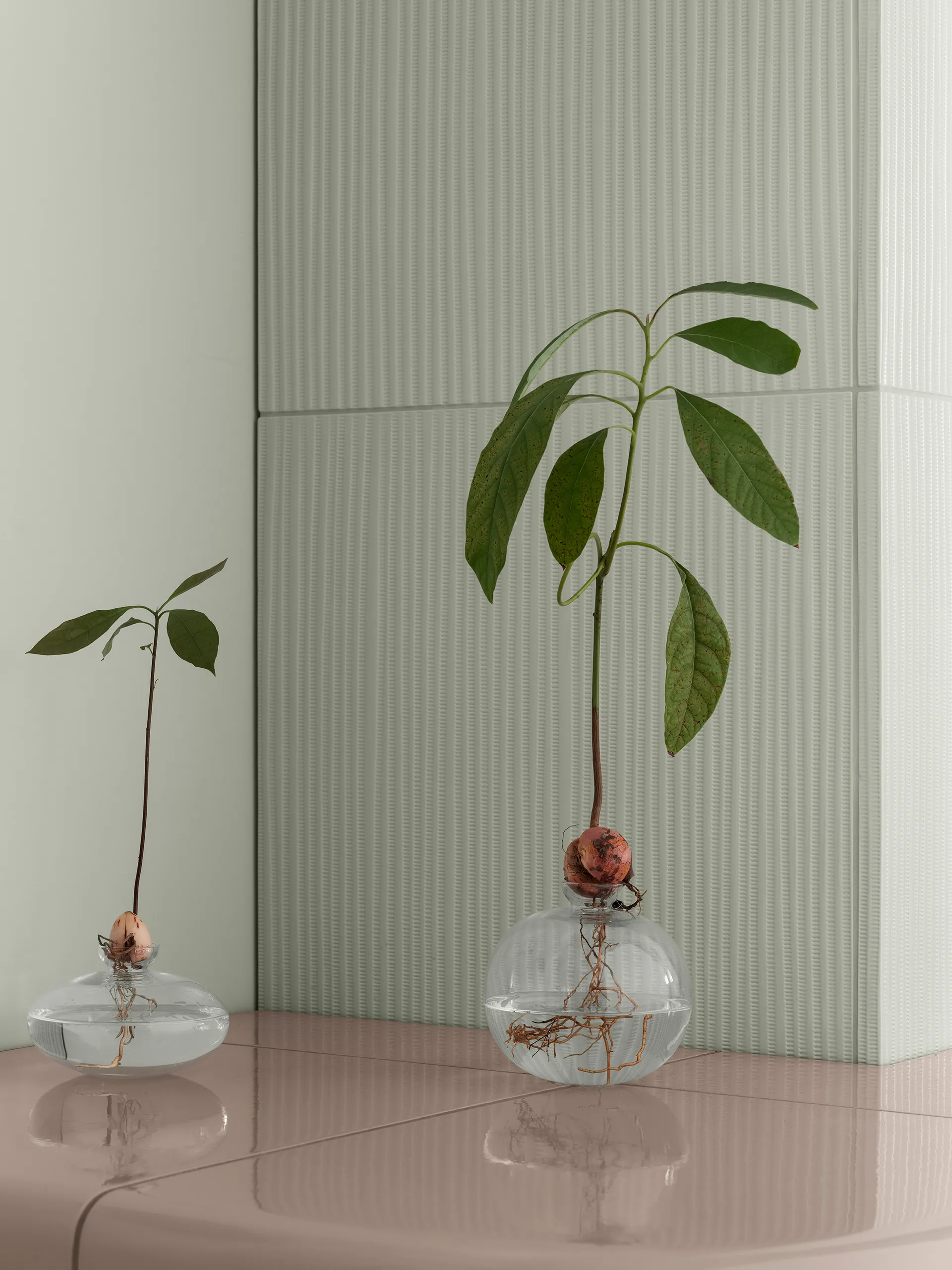 Vase Avo 9,5 cm, Clair blomus