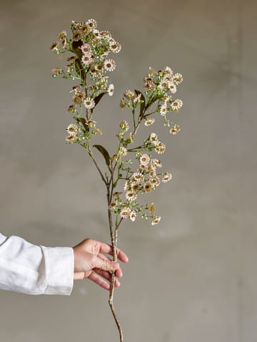 Fleur de cire Stem - Blanc - Bloomingville