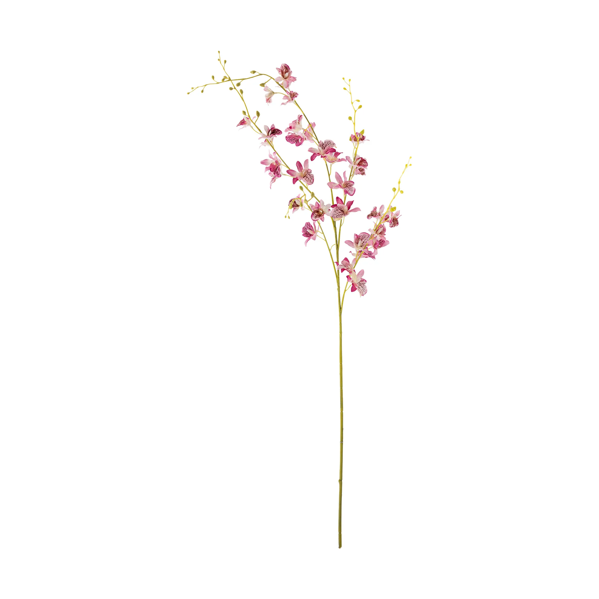 Orchidée Stem fleur en cire, Pink Bloomingville