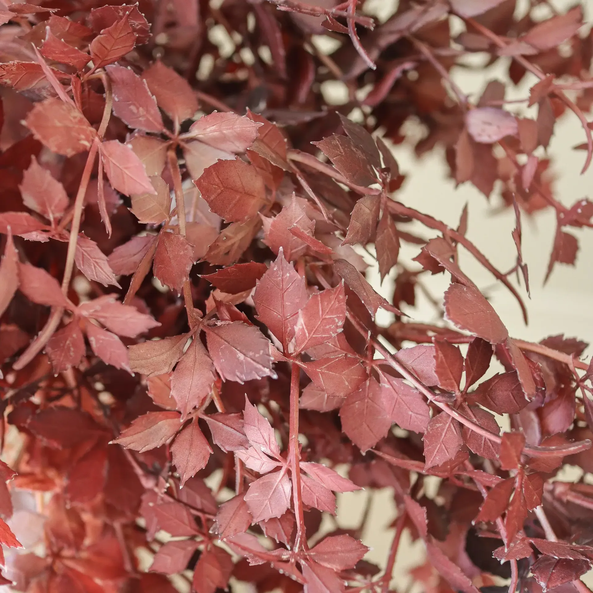 Bouquet artificiel Burgundy Maple Branch, 107 cm, 4 pièces Botané
