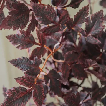 Bouquet artificiel Burgundy Plum Leaves - Red, 85 cm, 1 pièce - Botané