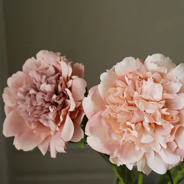 Bouquet artificiel de pivoines - Dusty, 5 pièces - Botané