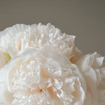 Bouquet artificiel de pivoines - Mini, cream 10 pcs - Botané