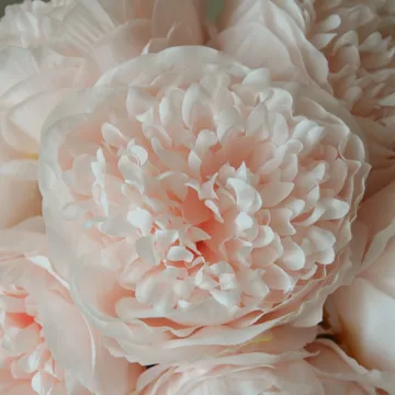 Bouquet artificiel de pivoines - Mini, rose clair 10 ts - Botané