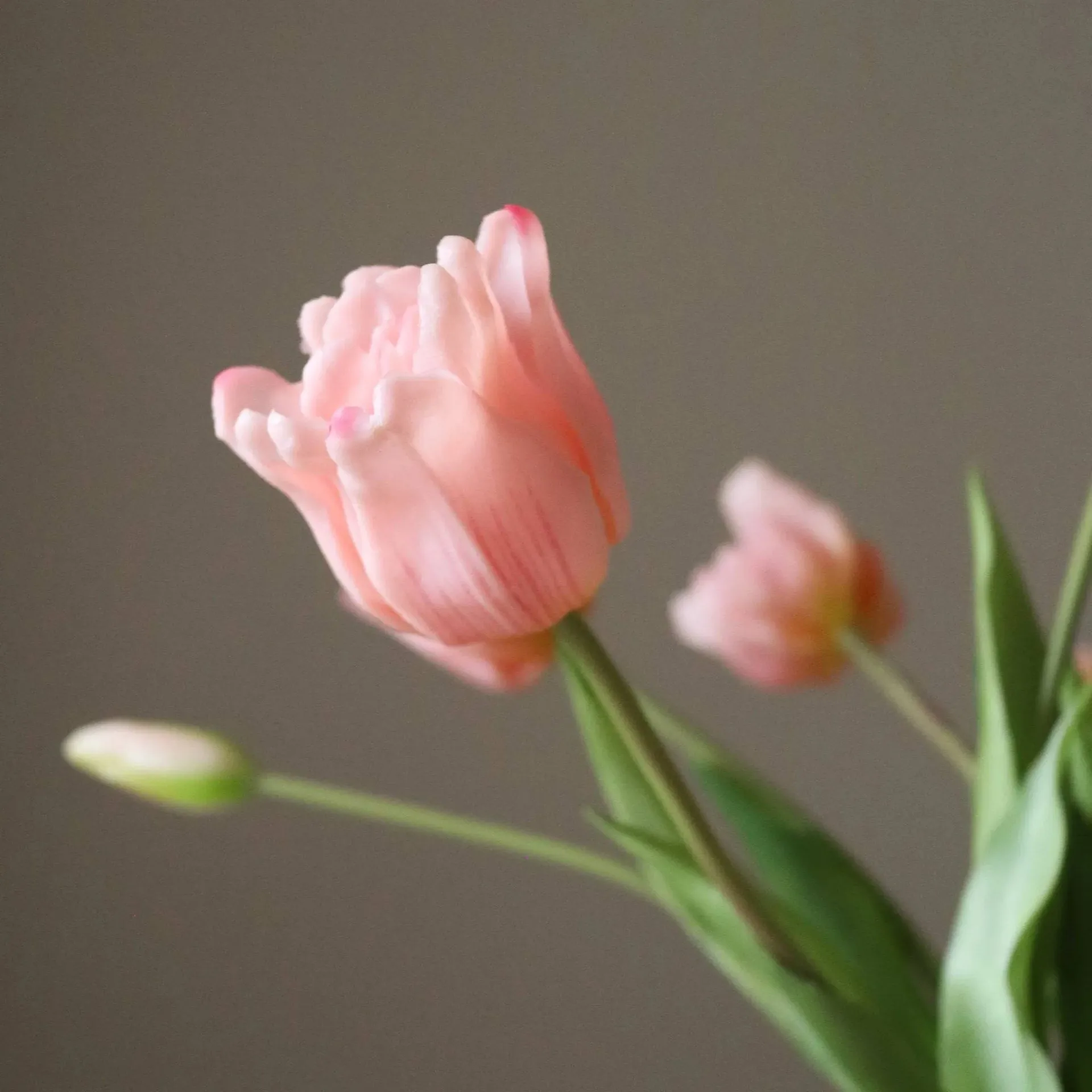 Bouquet artificiel de tulipes Triumph, Rose pâle, 10 pcs Botané
