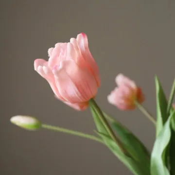 Bouquet artificiel de tulipes Triumph - Rose pâle, 10 pcs - Botané