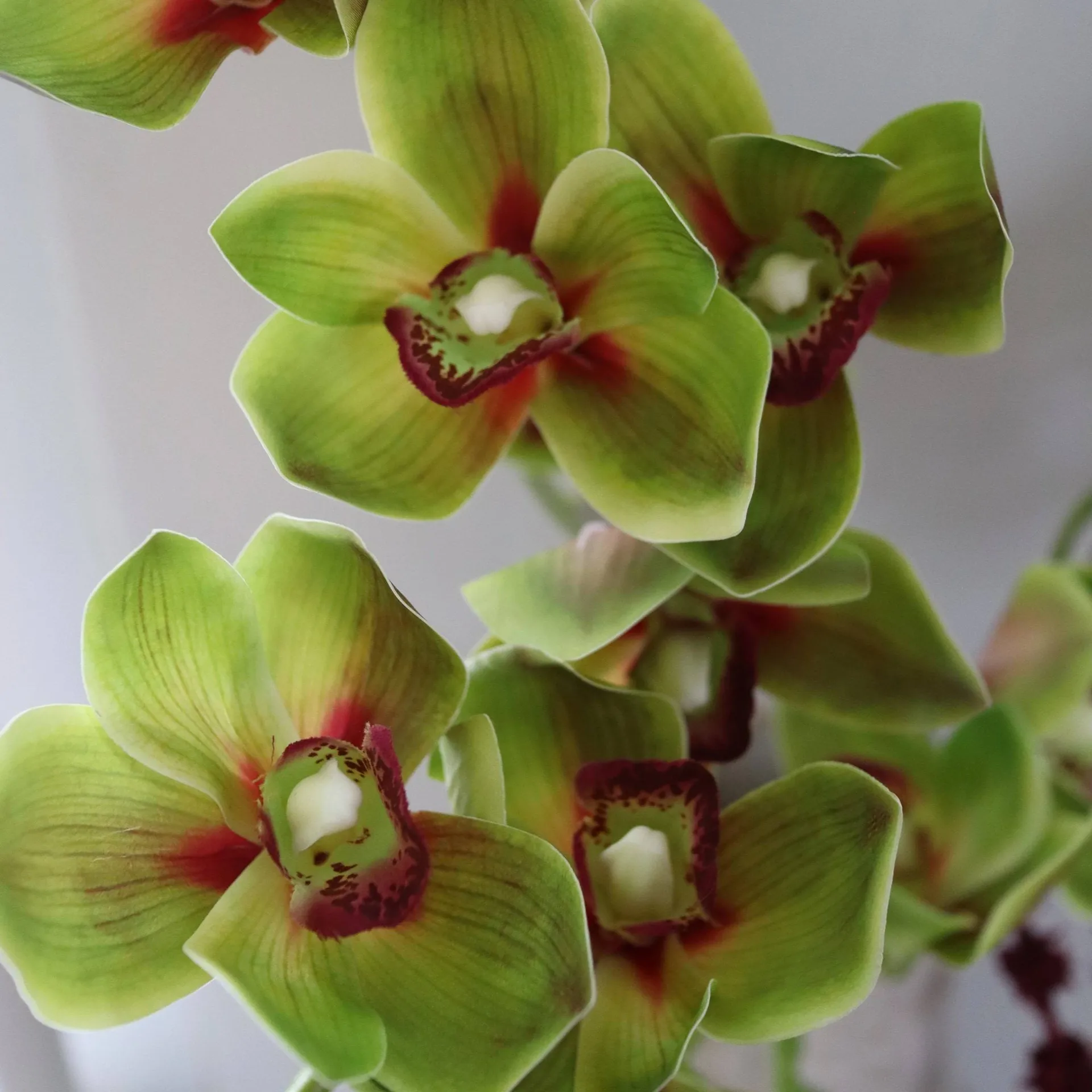 Bouquet artificiel Velvet Vine, Orchidée-amarante 6 pcs Botané