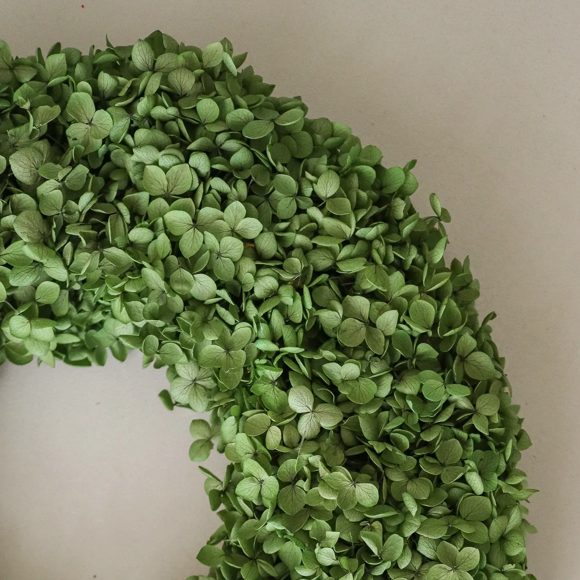 Couronne de fleurs Hortensia Wreath, Green, Ø40 cm Botané