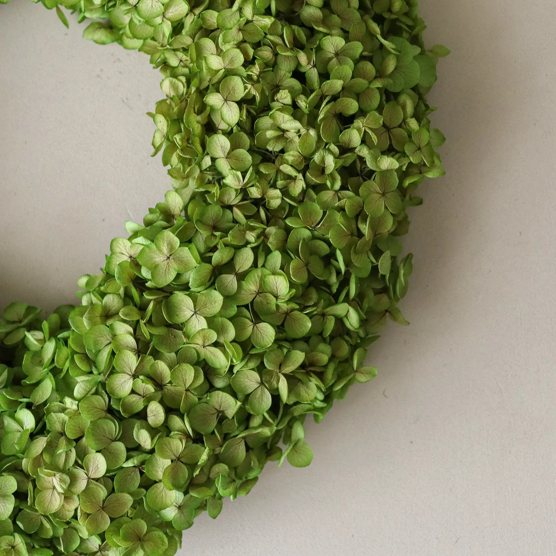 Couronne de fleurs Hortensia Wreath, Light green, Ø40 cm Botané