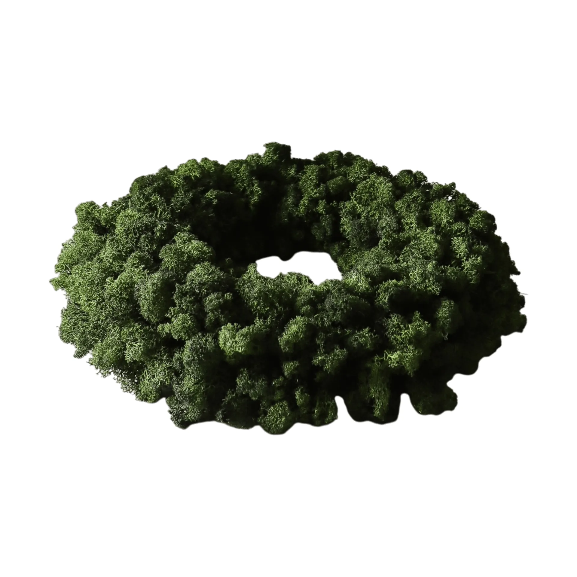 Couronne de mousse Moss Wreath, Green, Ø40 cm Botané