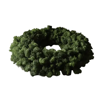 Couronne de mousse Moss Wreath - Green, Ø40 cm - Botané