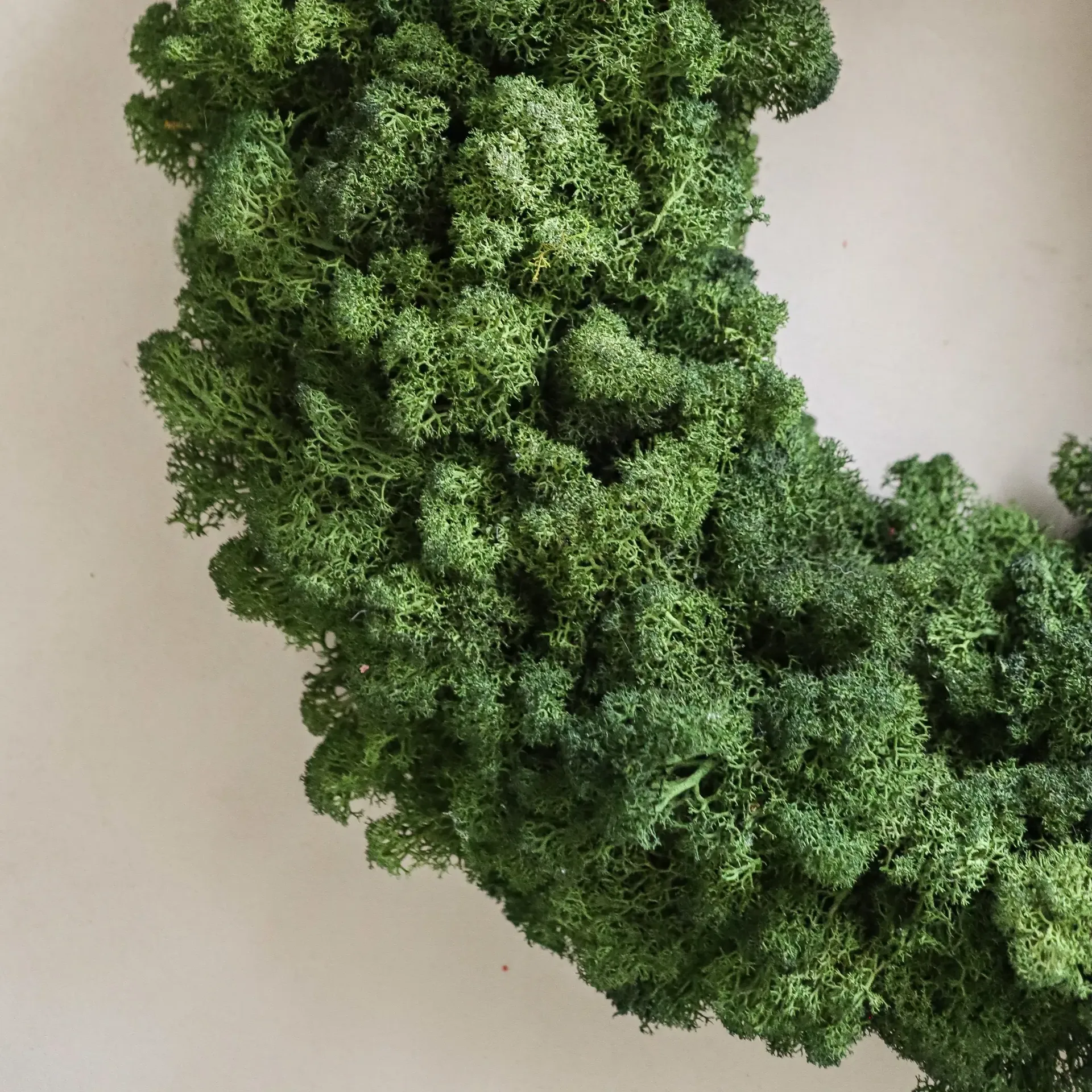 Couronne de mousse Moss Wreath, Green, Ø40 cm Botané